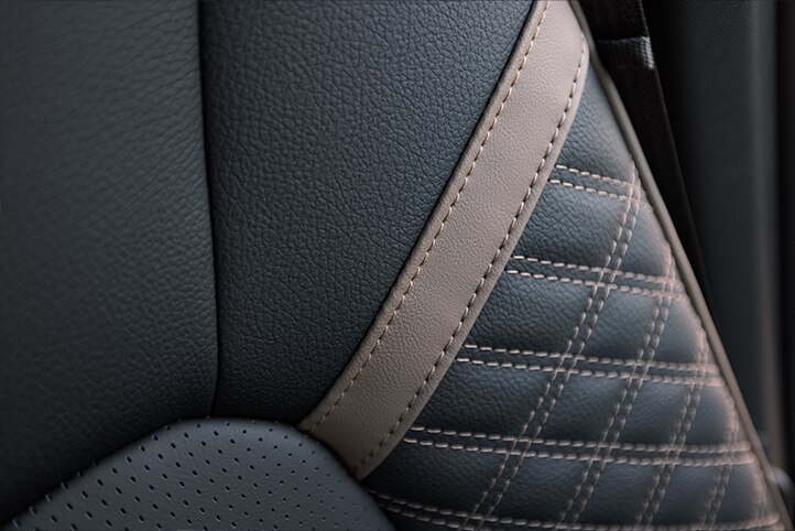 Canyon 2024 interior